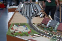 IMG_8495-scaled